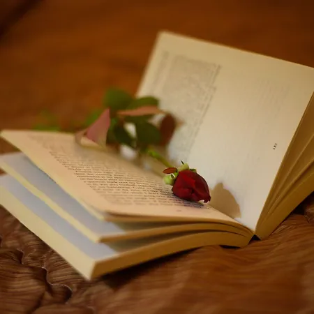 Hotel Pontikonisi & Suites-adults Only Perama (Corfu)